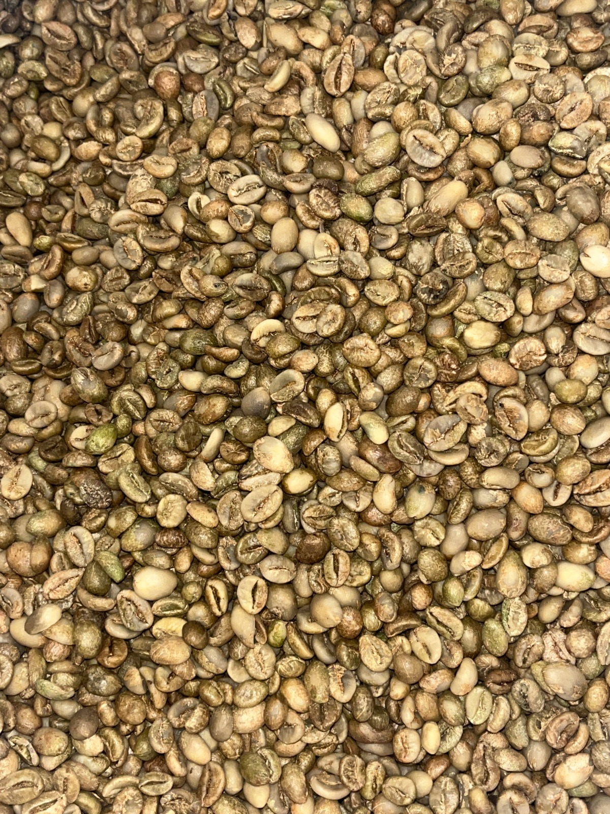 Kopi Sumatra